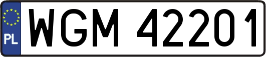 WGM42201