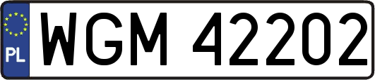 WGM42202