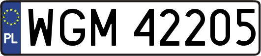 WGM42205