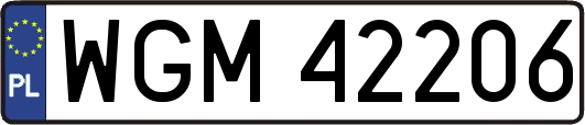 WGM42206