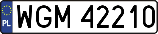 WGM42210