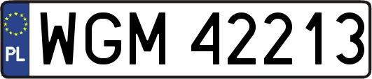 WGM42213