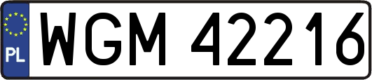 WGM42216