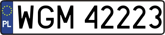 WGM42223