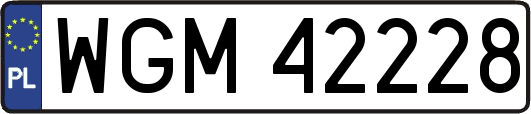 WGM42228