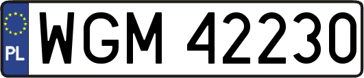 WGM42230