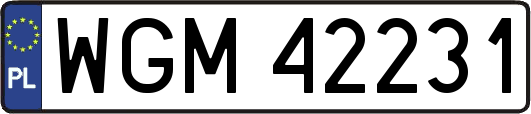 WGM42231