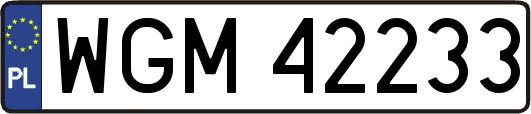 WGM42233