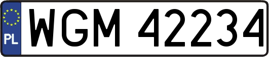 WGM42234