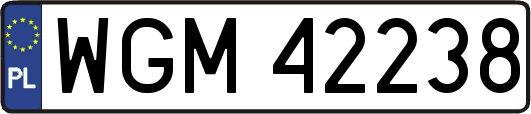 WGM42238