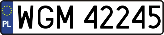 WGM42245