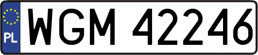 WGM42246