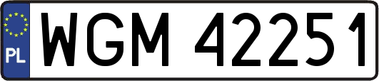 WGM42251