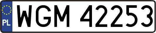 WGM42253