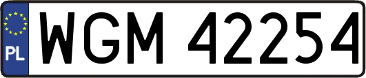 WGM42254