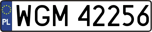 WGM42256