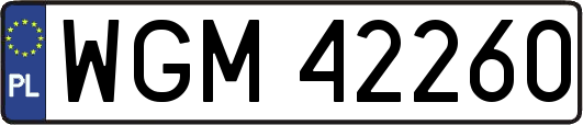 WGM42260