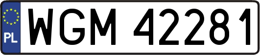 WGM42281