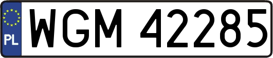 WGM42285
