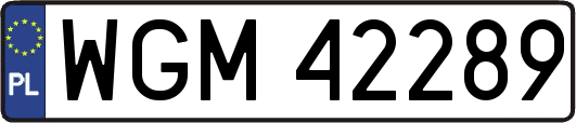 WGM42289