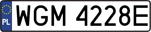 WGM4228E