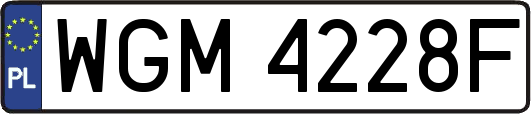 WGM4228F