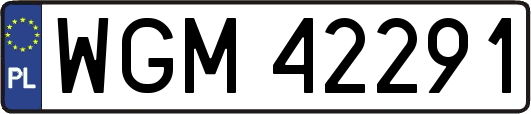 WGM42291