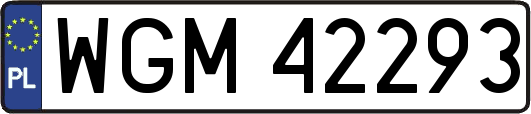 WGM42293