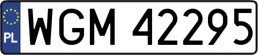 WGM42295