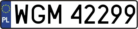 WGM42299
