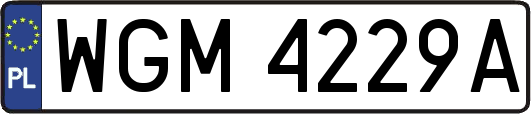 WGM4229A