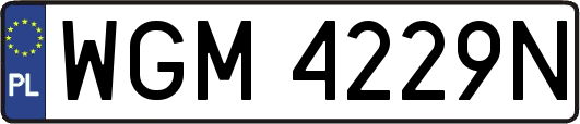 WGM4229N