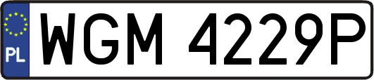WGM4229P