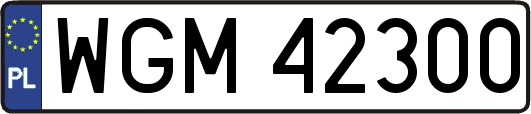 WGM42300