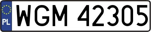 WGM42305