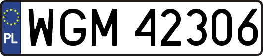 WGM42306