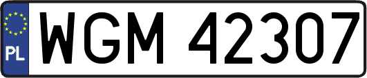 WGM42307