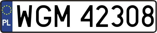 WGM42308