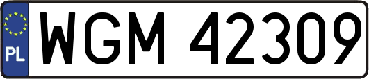 WGM42309