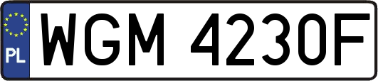 WGM4230F