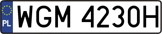 WGM4230H
