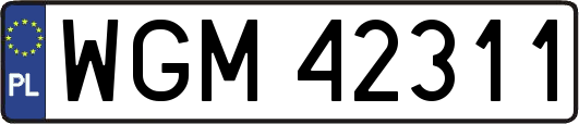 WGM42311