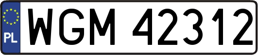 WGM42312
