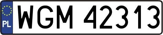 WGM42313