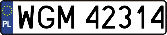 WGM42314