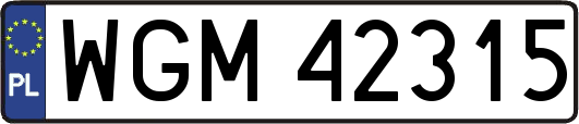 WGM42315