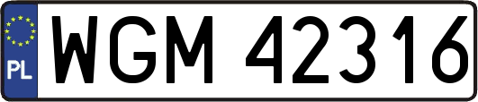 WGM42316
