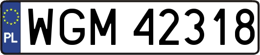 WGM42318