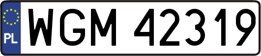 WGM42319