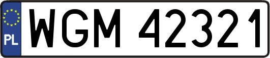 WGM42321